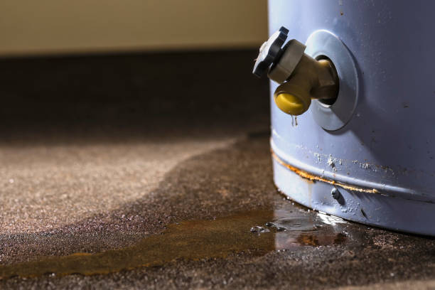 Best Residential water damage restoration  in Spring Valley, AZ