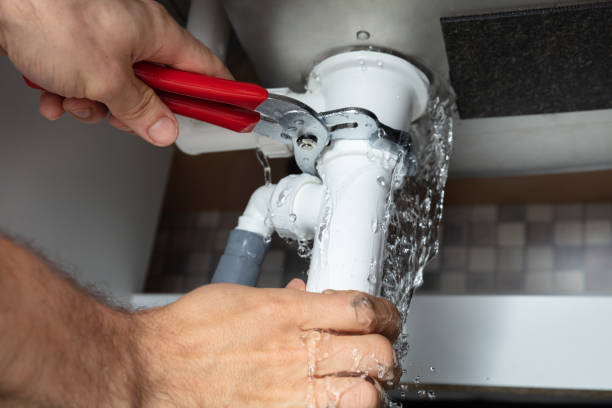 Best Fire Damage Restoration  in Spring Valley, AZ