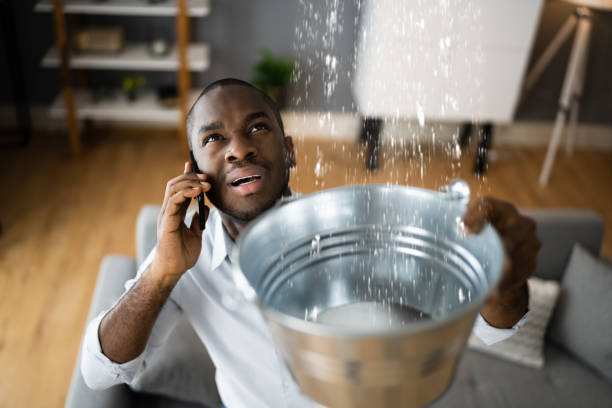Best Fire Damage Restoration  in Spring Valley, AZ