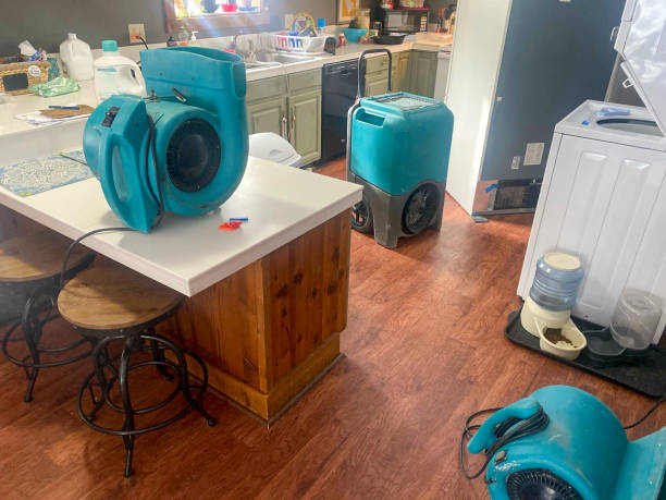 Best Water damage restoration near me  in Spring Valley, AZ