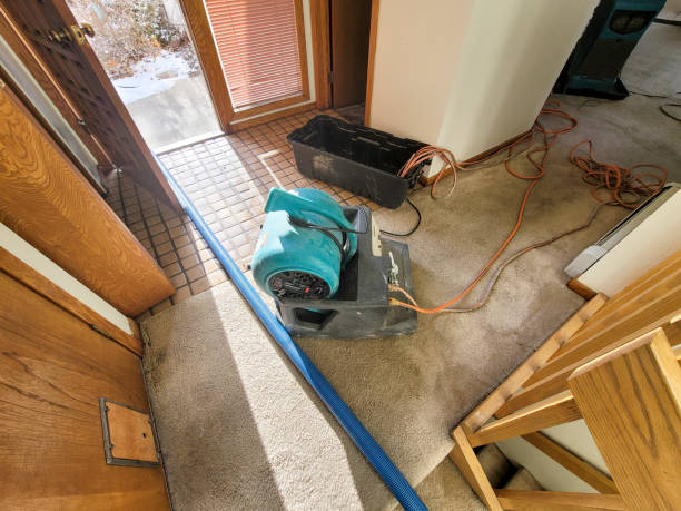 Best Water damage cleanup near me  in Spring Valley, AZ