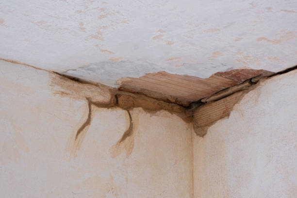 Trusted AZ Water damage restoration Experts