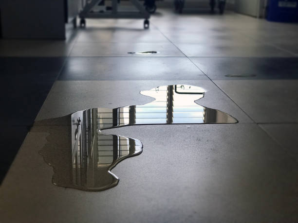 Best Water damage contractors near me  in Spring Valley, AZ