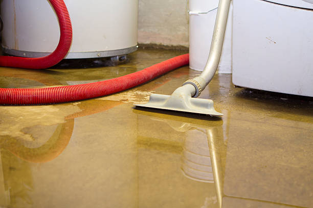 Best Ceiling water damage repair  in Spring Valley, AZ