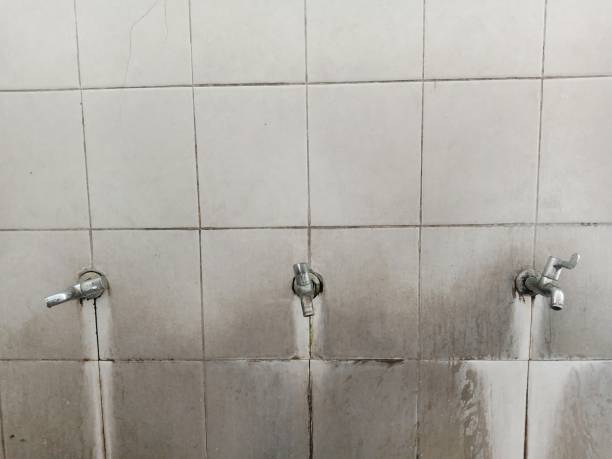 Carpet water damage restoration in AZ