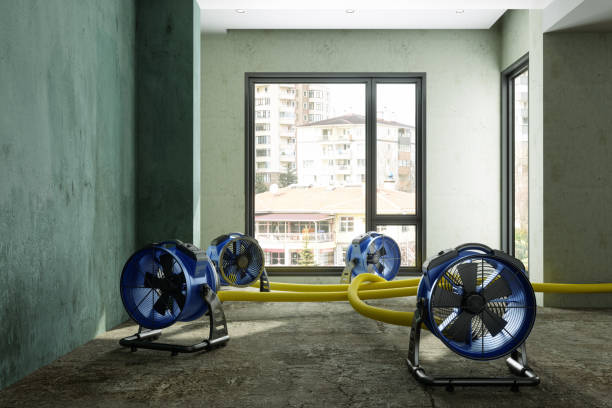 Best Ceiling water damage repair  in Spring Valley, AZ